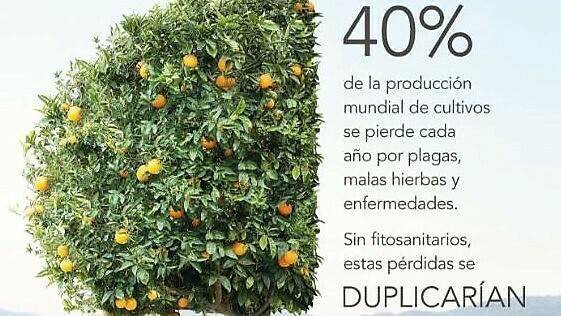 fitosanitarios AEPLA 2|aepla1|29792116_1936428976370061_8146385253393498112_o|aepla 2|field-3314472_960_720